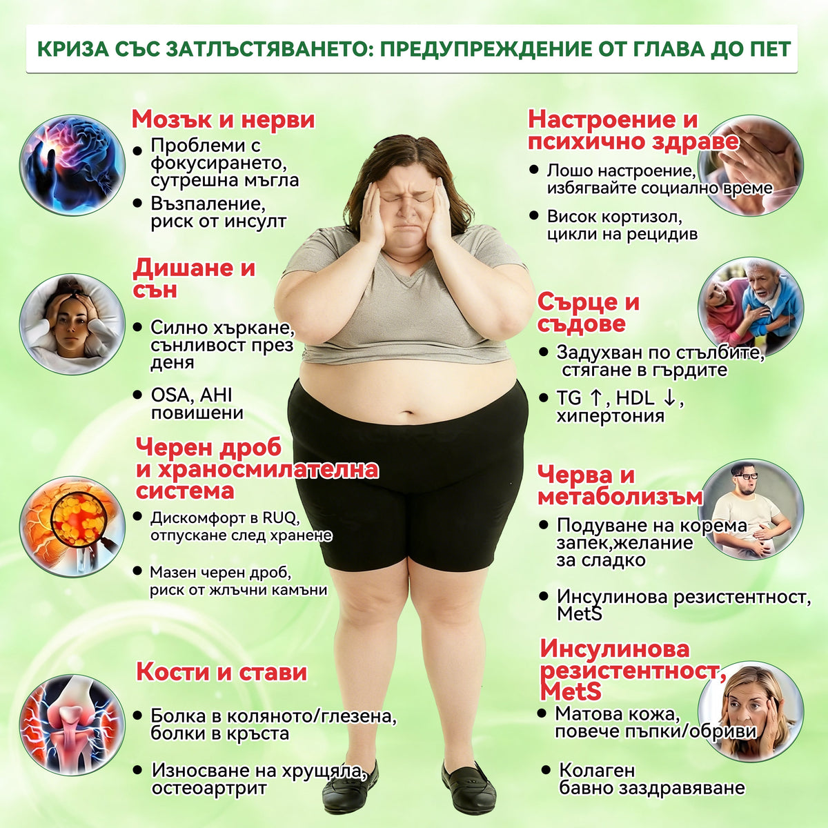 【Последен ден на промоция – 90% ОТСТЪПКА】🌞𝐅𝐥𝐨𝐫𝐢𝐬𝐦𝐚® Моринга 𝐗 Берберин 𝟏𝟎-𝐈𝐧-𝟏 Напреднал Нано Микроигли Пластир