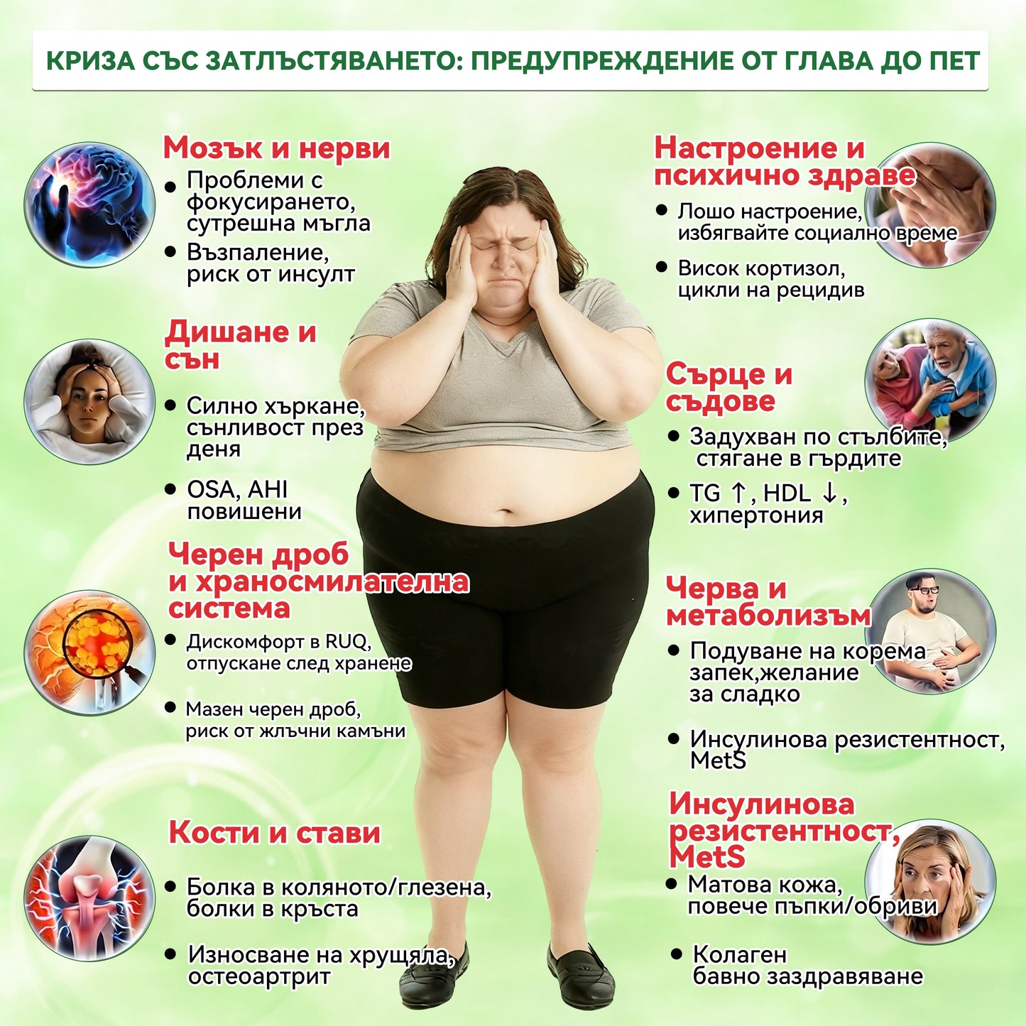 【Последен ден на промоция – 90% ОТСТЪПКА】🌞𝐅𝐥𝐨𝐫𝐢𝐬𝐦𝐚® Моринга 𝐗 Берберин 𝟏𝟎-𝐈𝐧-𝟏 Напреднал Нано Микроигли Пластир