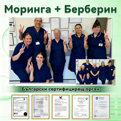 Официален магазин |🍋‍🟩𝑳𝒖𝒙𝒂𝙧𝙞𝙨𝙚® Моринга 𝗫 Берберин 𝟭𝟬-𝗜𝗻-𝟭 Напреднал Нано Микроигли Пластир (Един път на ден, видими промени за 7 дни）✅ Ожиряване, диабет, сънна апнея и проблеми със ставите